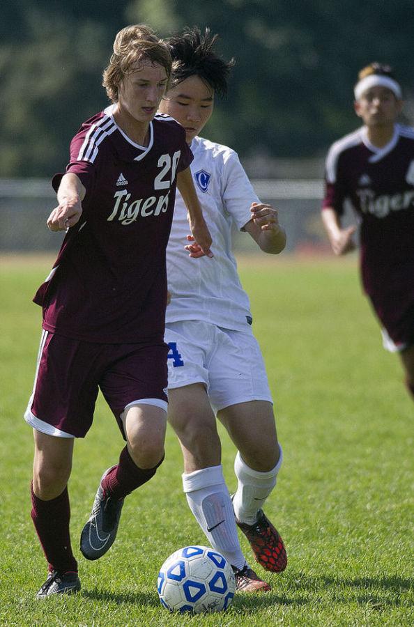 Boys Soccer Ties Stewartville