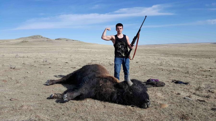 Bison hunting in Montana