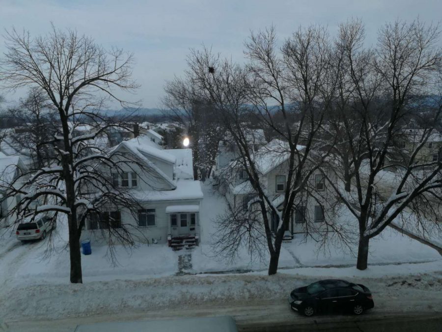 What did you do over the "Snow Week"?