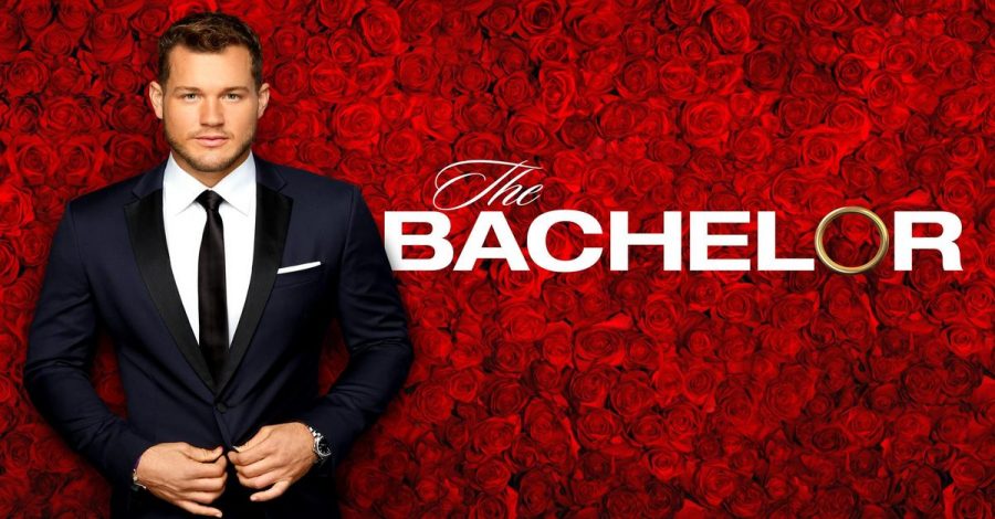 The Bachelor: What you missed
