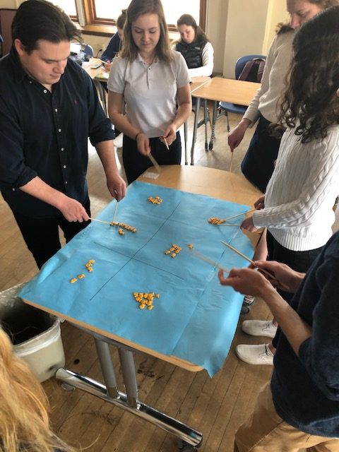 Drew Morales, Allie Picha, Ellie McRaith and Savannah Scharmach work on a simulation of conservation of resources in Economics class