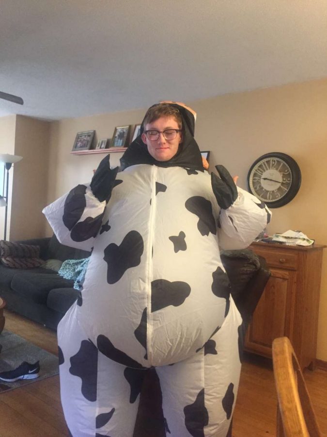 King of the Cows