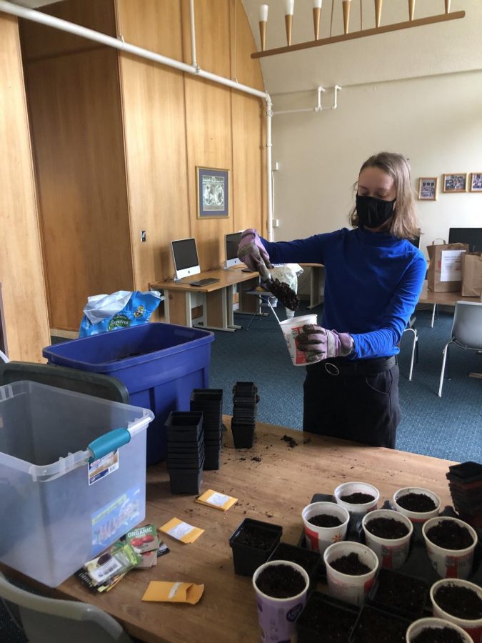 Cotter junior Grace Finnerty planting seedlings in the Cotter Dorms