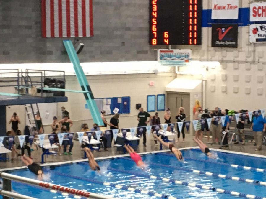 Swimmers dive in for the 200 Meter Freestyle (also called front crawl) stroke.