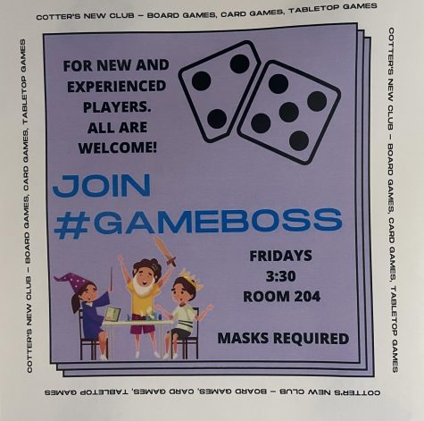 GameBoss Flyer 