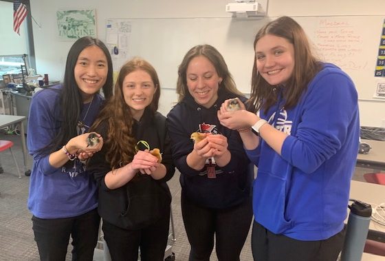 Alisia Hull, Mary Row, Ali French, and Olivia Blumers holding some of Mr. Reigstands baby chicks