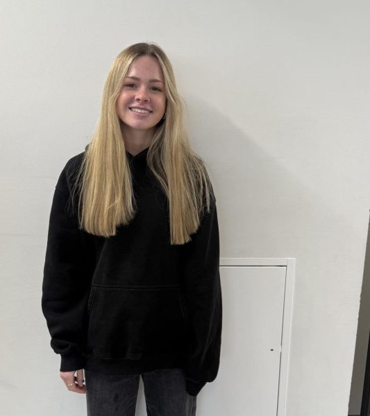 junior Hope Parnow discusses her study habits before finals week